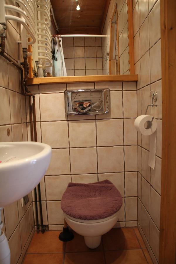 Pod Zielonym Lasem Chalet *