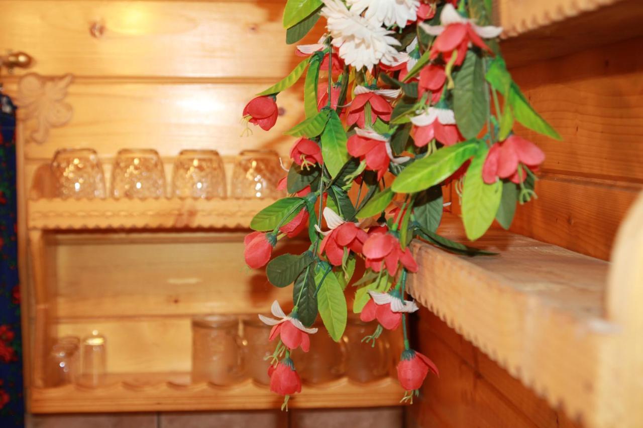 Chalet Pod Zielonym Lasem *