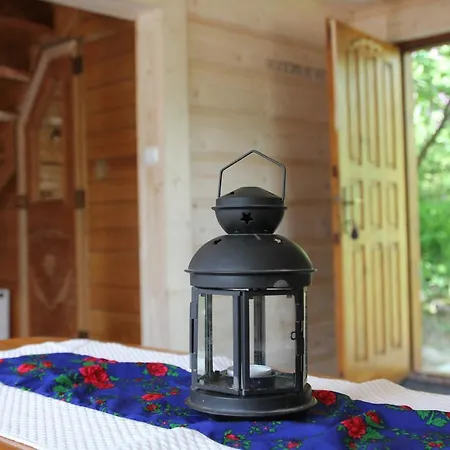 Domek Pod Zielonym Lasem Zakopane Exterior photo