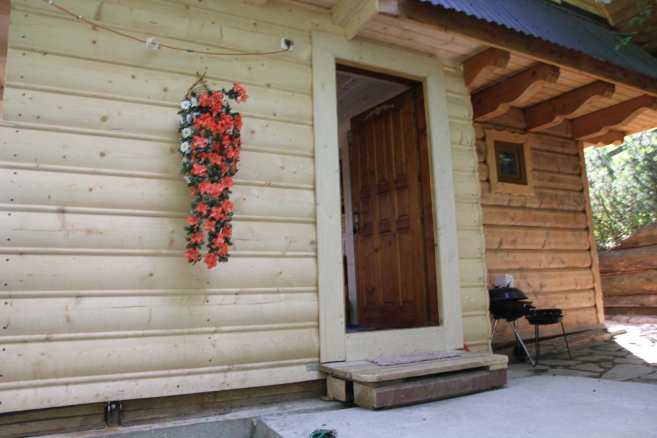 Chaleter Pod Zielonym Lasem *